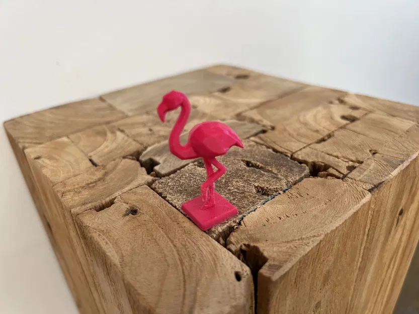 Hồng Hạc Màu Hồng - Image 2