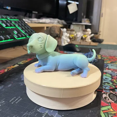 Chó Bò Lủng Lẳng Cartoon – Tư Thế Nằm