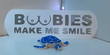 Mô hình "Boobies" - Biển "Boobies Make Me Smile" - Image 2