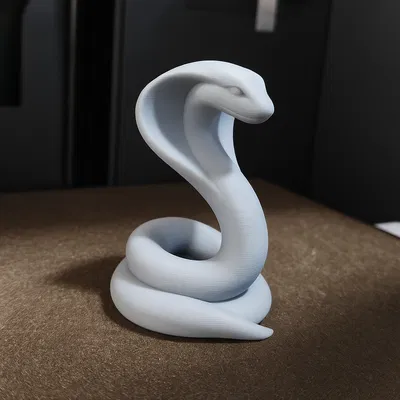 Rắn Hổ Mang (Nghệ Thuật Trang Trí Nhà Cửa)