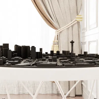 Bản Đồ Địa Hình Tròn Seattle & Kim Chti Space Needle STL