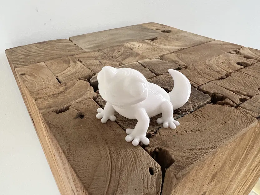 Thằn Lằn Dễ Thương - Image 2