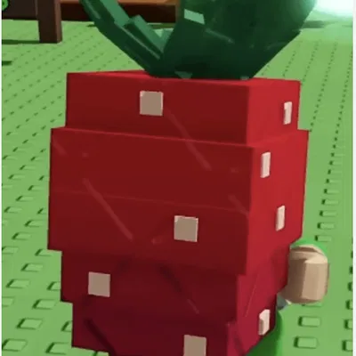 Trồng Dâu Tây Elder Trong Vườn