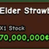 Trồng Dâu Tây Elder Trong Vườn