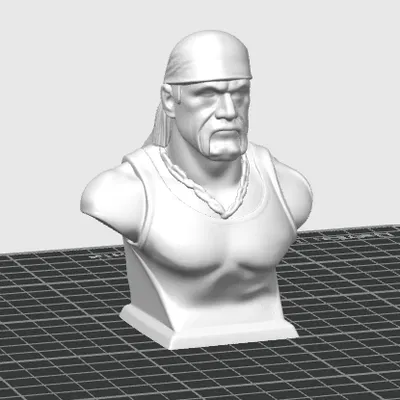 Mô hình Hulk Hogan (Memory Bust)