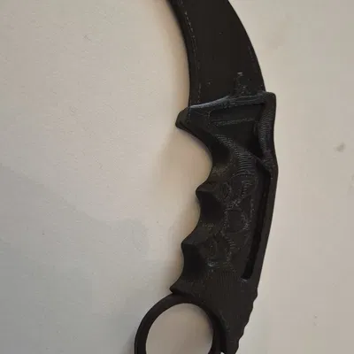 Carambit CS2