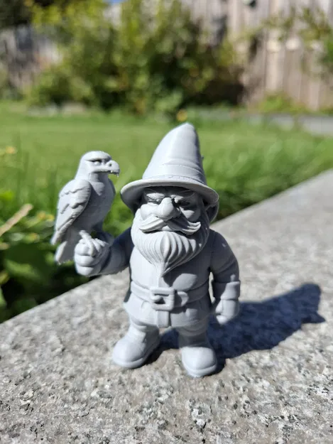 Ông Già Falconer – Bậc Thầy Bầu Trời - Image 1