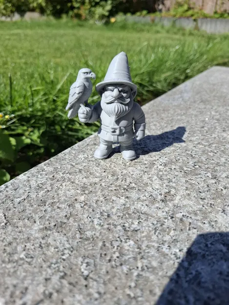 Ông Già Falconer – Bậc Thầy Bầu Trời - Image 2