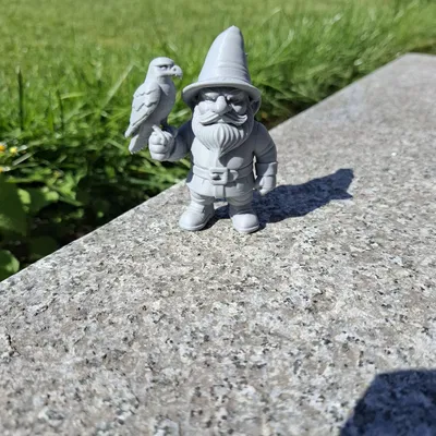 Ông Già Falconer – Bậc Thầy Bầu Trời