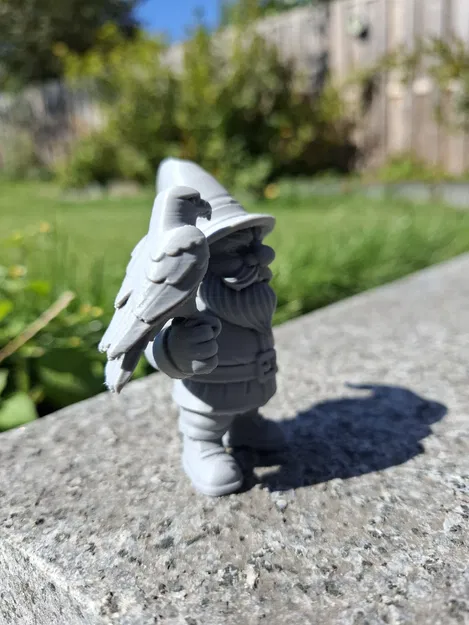 Ông Già Falconer – Bậc Thầy Bầu Trời - Image 4