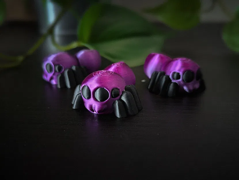 Nhện Nhảy Co Giãn (Flexi Jumping Spider) - Image 1