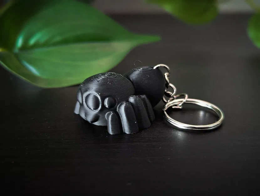 Nhện Nhảy Co Giãn (Flexi Jumping Spider) - Image 3