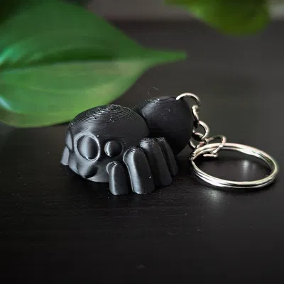 Nhện Nhảy Co Giãn (Flexi Jumping Spider)