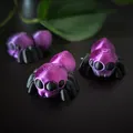Nhện Nhảy Co Giãn (Flexi Jumping Spider) - Thumbnail 4