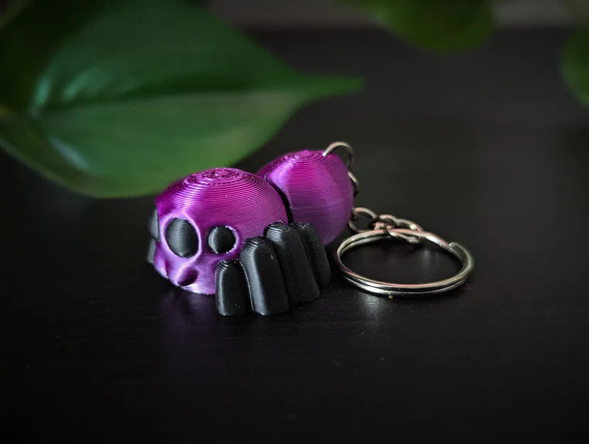 Nhện Nhảy Co Giãn (Flexi Jumping Spider) - Image 5