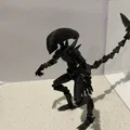 Mô hình Dummy13 Xenomorph - Thumbnail 1