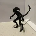 Mô hình Dummy13 Xenomorph - Thumbnail 4