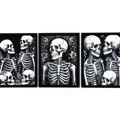 Tranh Treo Tường Hình Bộ Xương