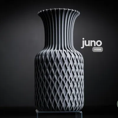 juno • bình hoa