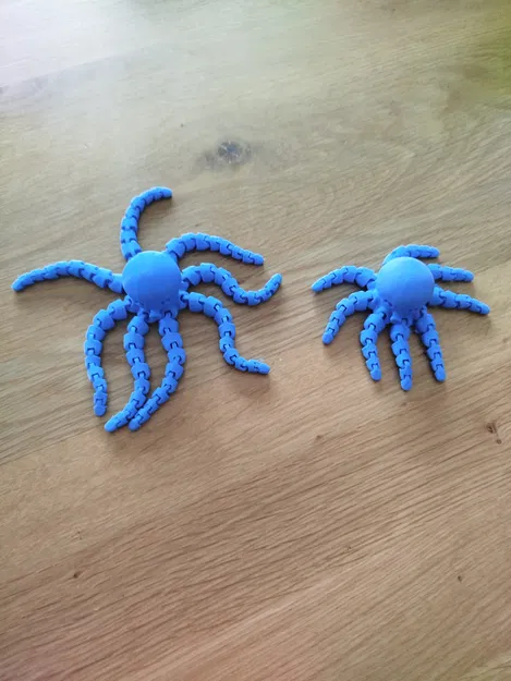 Longtopus - Bạch tuộc xúc tu dài - Image 2