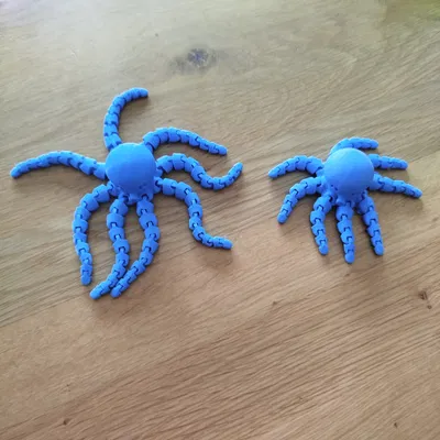 Longtopus - Bạch tuộc xúc tu dài