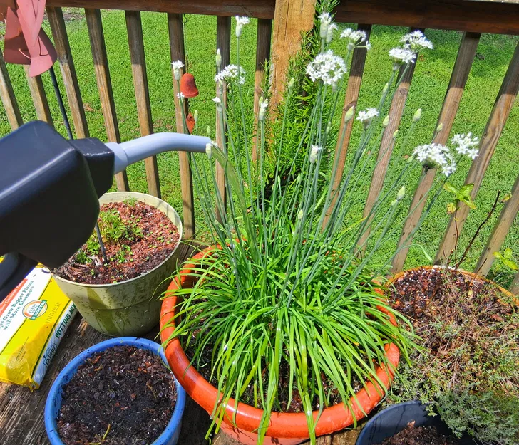 Đầu Phun Máy Bơm Xăng Cho Ống Nước Vườn - Image 4