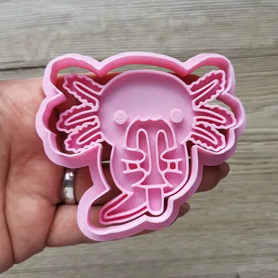 Bộ Khuôn Cắt Bánh Quy Hình Kỳ Nhông Axolotl Dễ Thương
