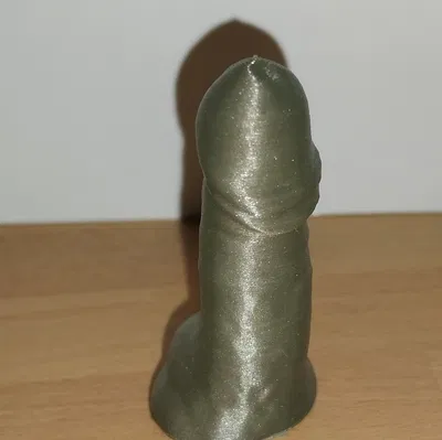 Mô Hình Tiết Niệu Nam (Penis Scan)