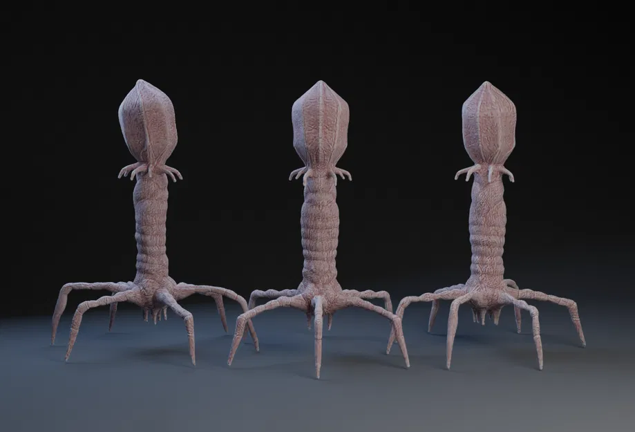 Mô hình Virus Phage Kháng Khuẩn - Image 1