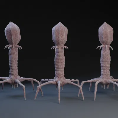 Mô hình Virus Phage Kháng Khuẩn