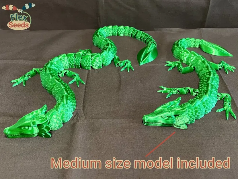 Rồng Lá Dẻo (In trực tiếp) - Image 2