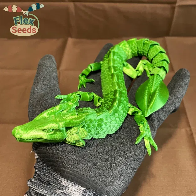 Rồng Lá Dẻo (In trực tiếp) - Image 16