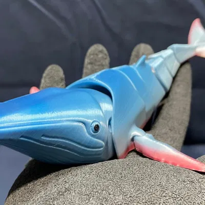 Cá Voi Humpback Linh Hoạt (In Tại Chỗ)