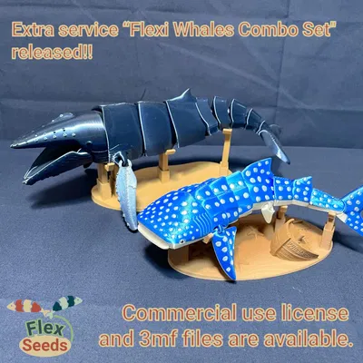Cá Voi Humpback Linh Hoạt (In Tại Chỗ)