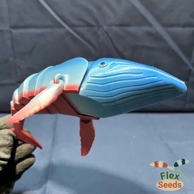 Cá Voi Humpback Linh Hoạt (In Tại Chỗ) - Image 11