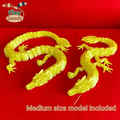 Rồng Nhật Bản Linh Hoạt (In liền)