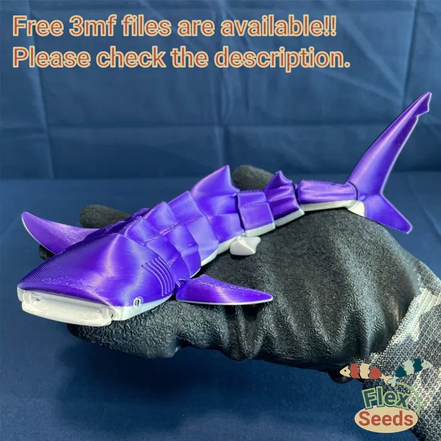 Cá Mập Voi Dẻo (In liền, không cần hỗ trợ) - Image 2