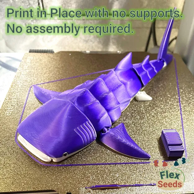 Cá Mập Voi Dẻo (In liền, không cần hỗ trợ) - Image 6