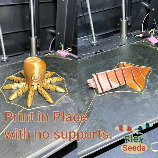 Mực và Ốc Anh Minh Flexi (In tại chỗ) - Image 2