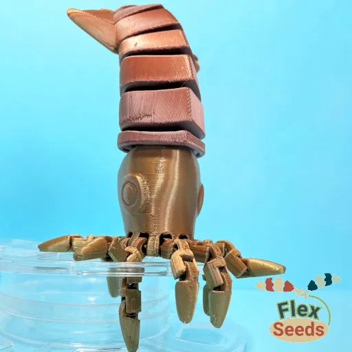 Mực và Ốc Anh Minh Flexi (In tại chỗ) - Image 5