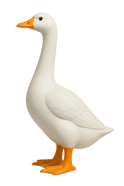 Ngỗng Để Bàn - từ ngỗng ngoài hiên - Image 2