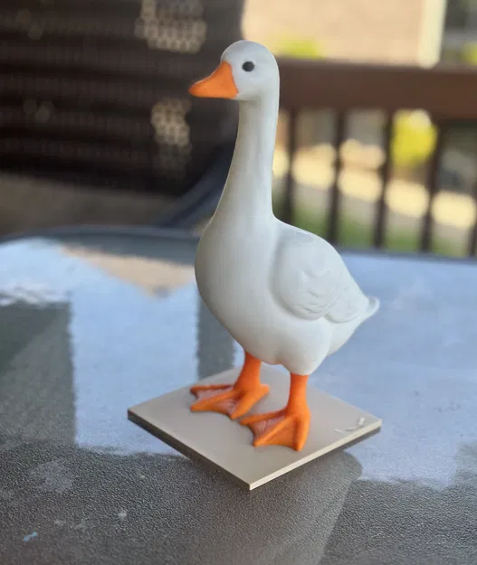 Ngỗng Để Bàn - từ ngỗng ngoài hiên - Image 3