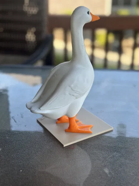 Ngỗng Để Bàn - từ ngỗng ngoài hiên - Image 5