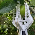 Dụng cụ hái trái cây Flexi - Thumbnail 2