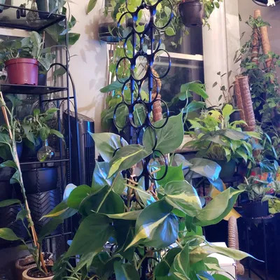 Chậu Hoa Tròn Xếp Chồng