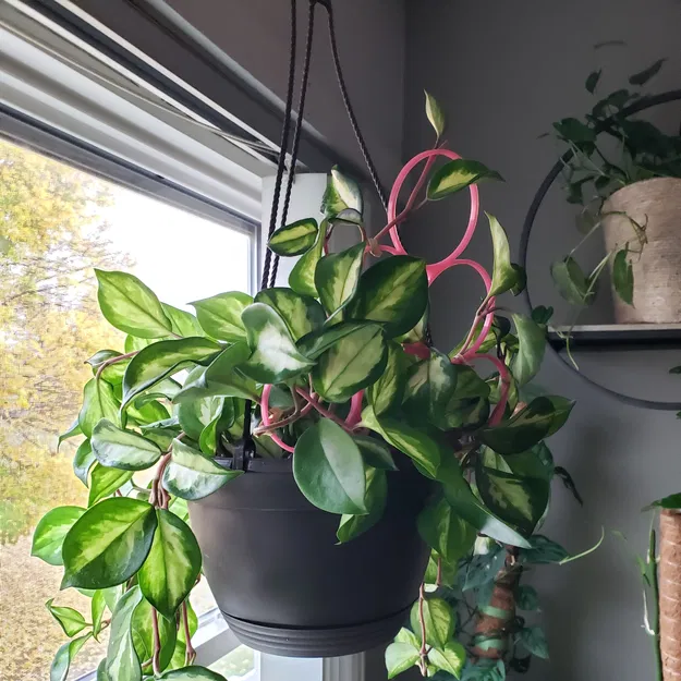 Chậu Hoa Tròn Xếp Chồng - Image 4