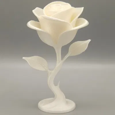 Hoa Hồng Vĩnh Cửu