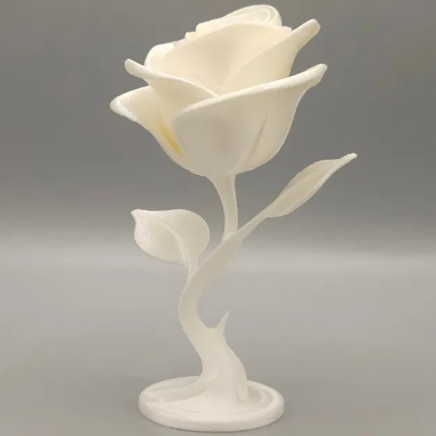 Hoa Hồng Vĩnh Cửu - Image 3