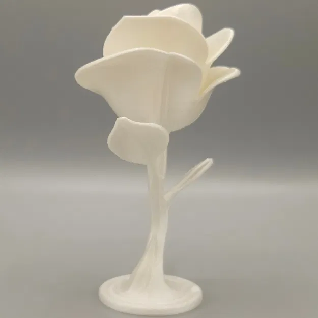 Hoa Hồng Vĩnh Cửu - Image 4