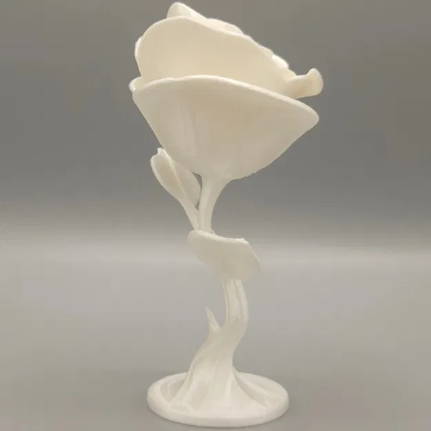 Hoa Hồng Vĩnh Cửu - Image 6